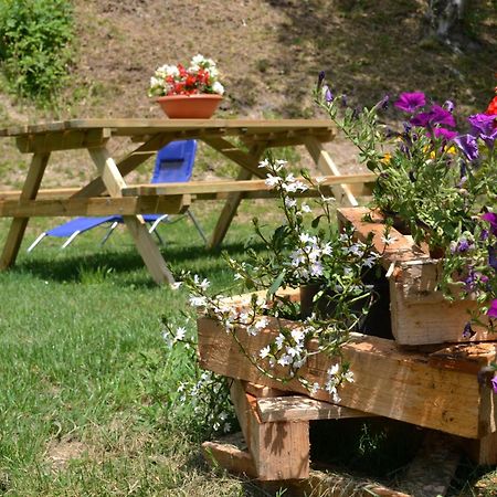 Agriturismo Dalla Natura la Salute Giustino Esterno foto