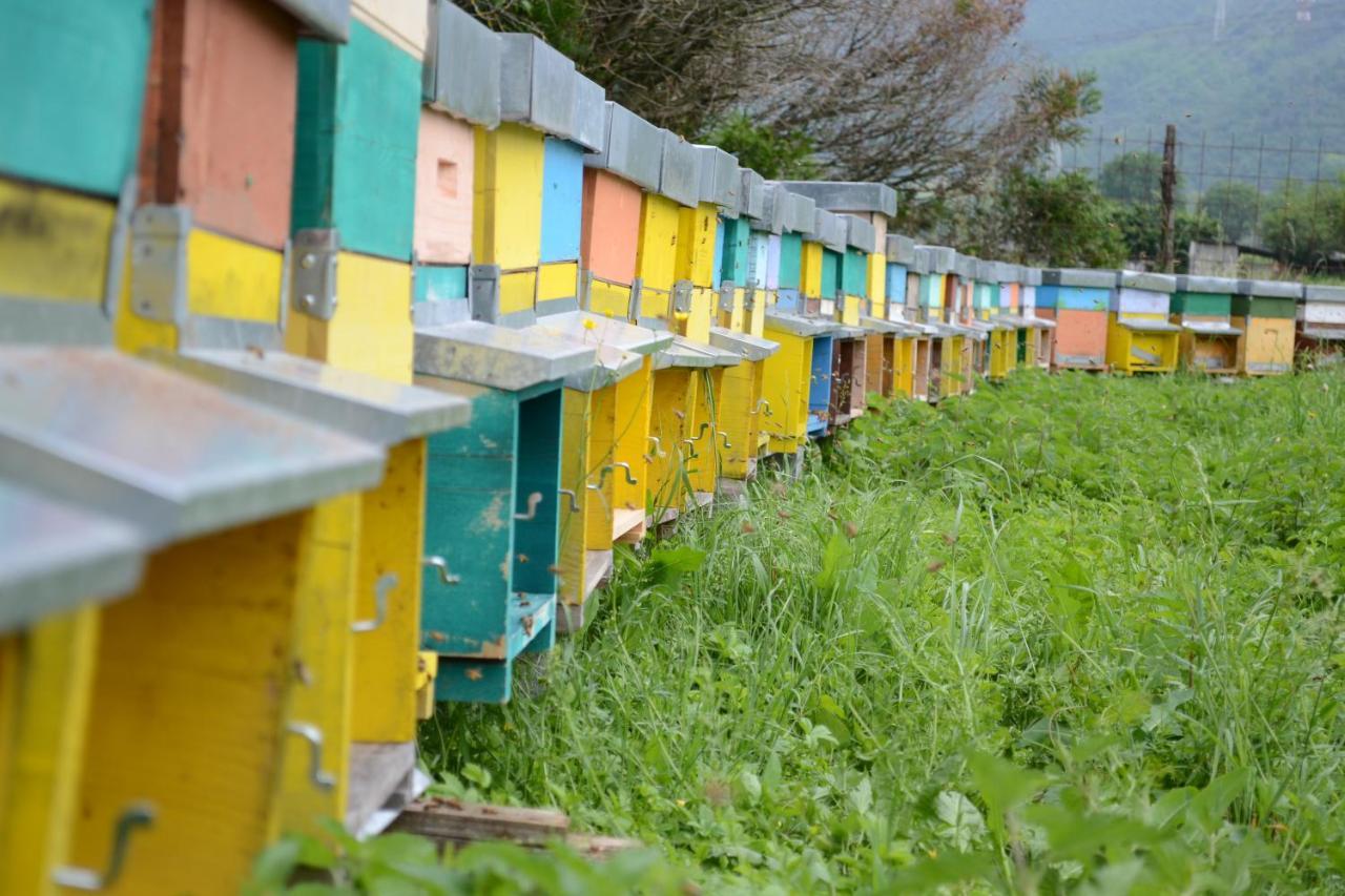 Agriturismo Dalla Natura la Salute Giustino Esterno foto