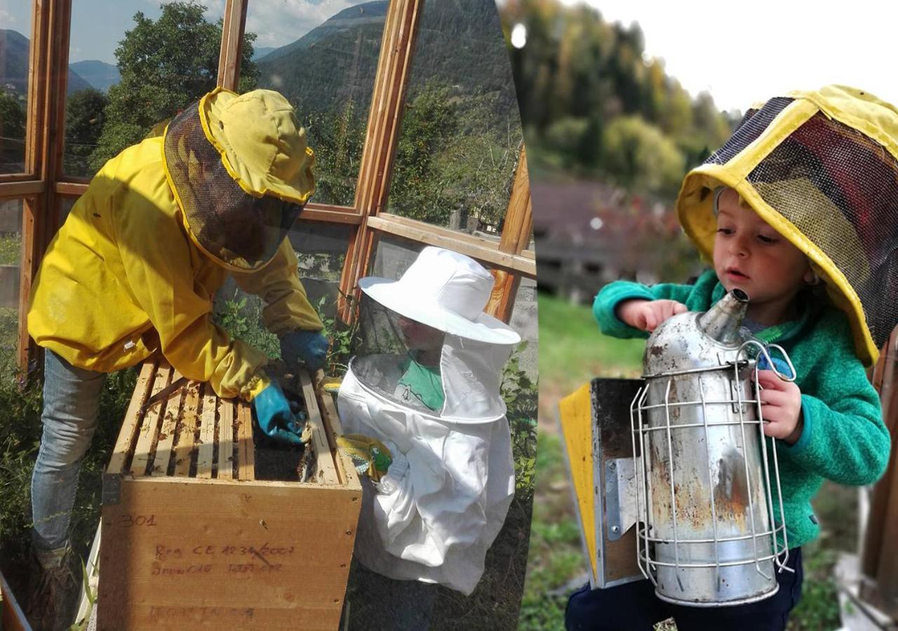 Agriturismo Dalla Natura la Salute Giustino Esterno foto