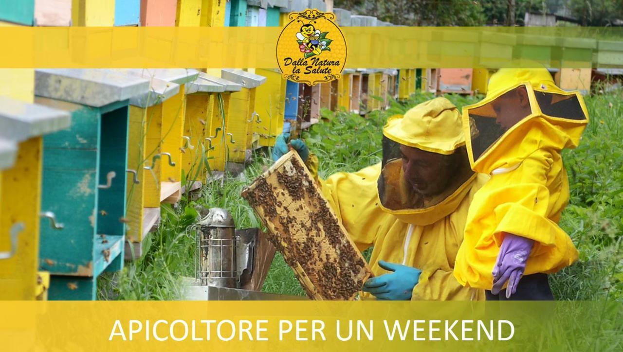 Agriturismo Dalla Natura la Salute Giustino Esterno foto